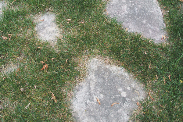 7 staza od kamena sa travom između ploca
