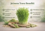 Barley Grass – Kesice