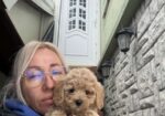 Maltipoo vrhunske genetike