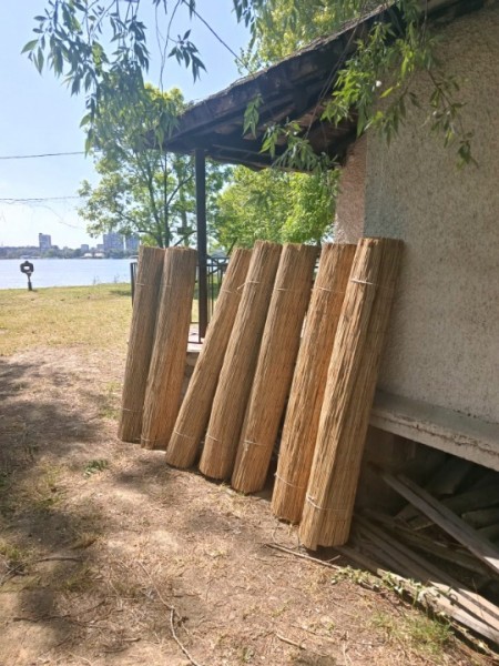 Trska za ograde, dvorišta, letnjikovce