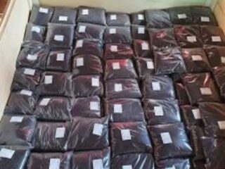 1tmb-300×300-156087380_64fa09795ec924-2244272420230907_161201