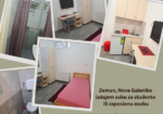 Zemun, Nova Galenika, izdajem sobu