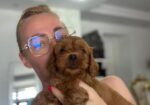 Goldendoodle prelepi štenci