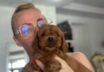 Goldendoodle prelepi štenci