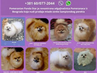 viber_slika_2026-09-29_14-18-08-996