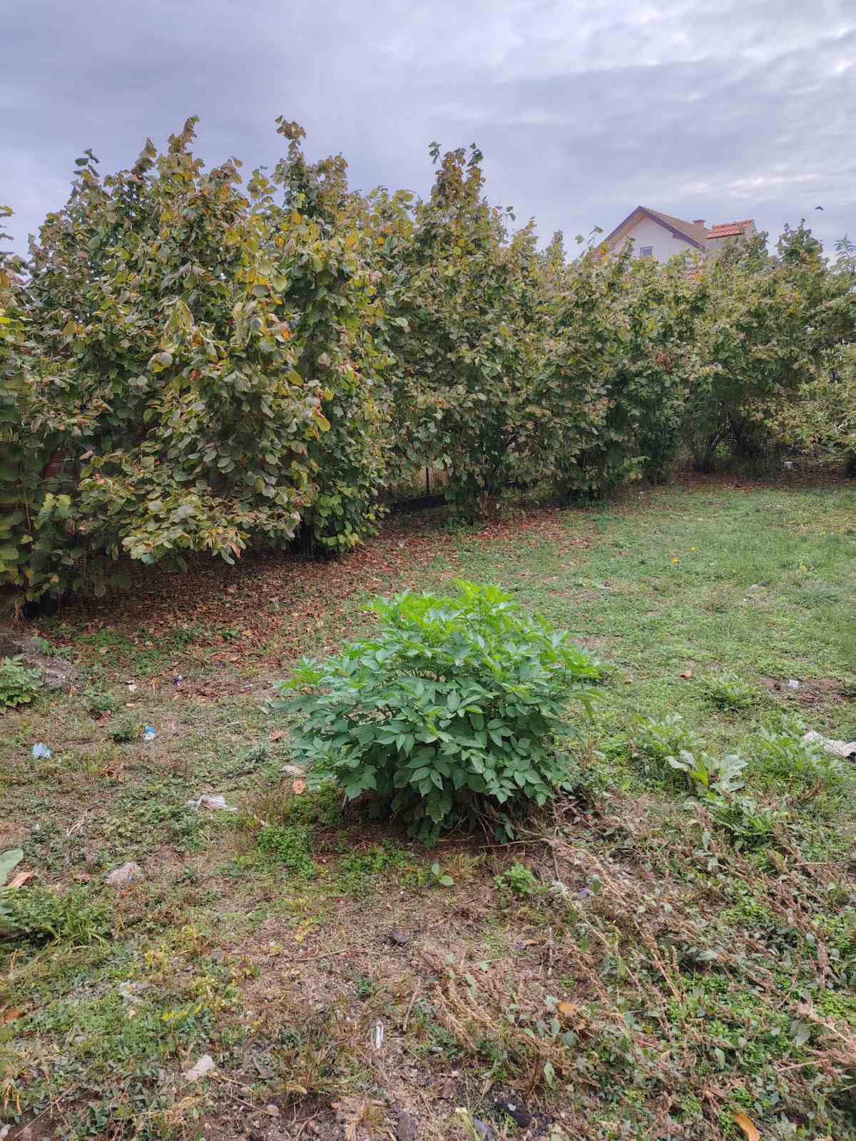 Kuća u Sremskoj Mitrovici, 70m2
